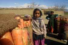 Enfant Afghan