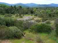 Plaine des Maures