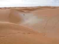 Sables ocres et blancs (silice) dans l'Adrar mauritanien