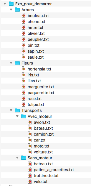 solution exercice arborescence