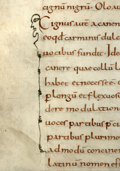 Fig. 4. Feston