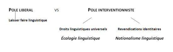 Options politique linguistique