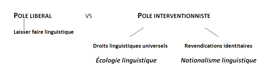 Options politique linguistique